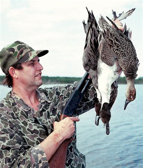 Floridas Winter Duck Hunting Coastal Angler And The Angler Magazine