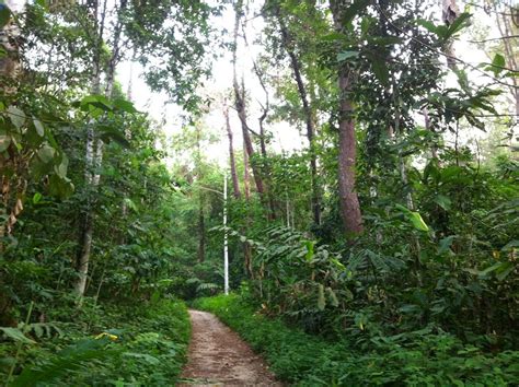 The 1493m high gunung nuang is the the 86th highest peak in malaysia. afifplc: Gunung Nuang climb