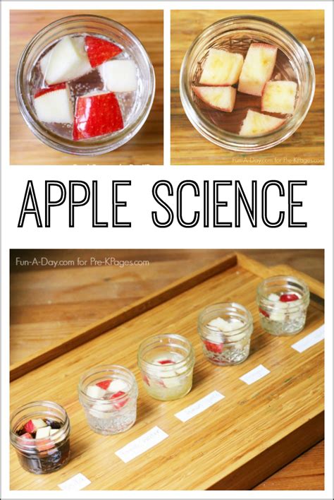 Apple Science Experiment For Preschool