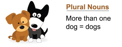 The definition of plural noun is the form of a word that refers to more than one person or thing. hat is a Plural Noun? - Regular and Irregular and ...