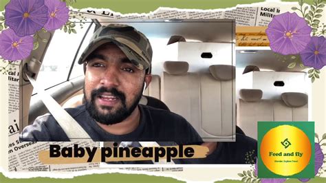 Baby Pineapple Babypineapple Youtube