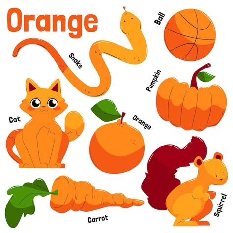 Free Vector Collection Of Orange Objects And Vocabulary Words In English