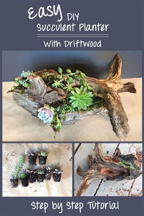 Diy Driftwood Planter Made With Cedar Succulent Planter Tutorial