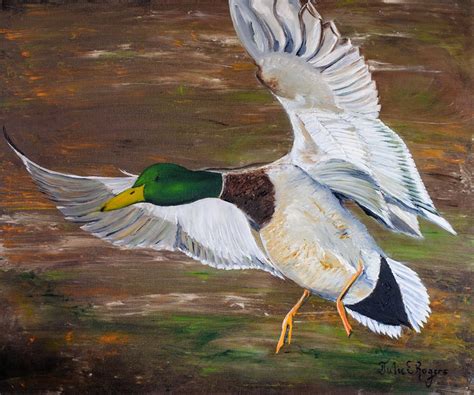 Mallard In Flight Oil Painting Wild Life Painting Duck