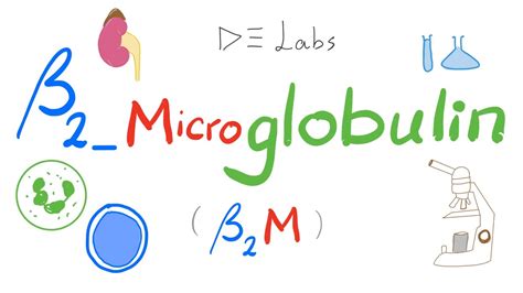 Beta 2 Microglobulin Level Serum And Urine Labs 🧪 Youtube