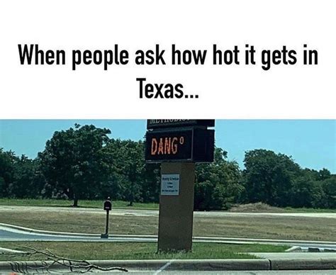 Actualfoodie Memes Funnymemes Dallas Texas Meme Reddit
