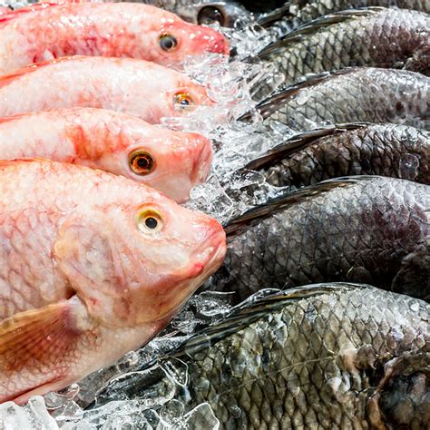 Heres How To Tell If Fish Is Fresh Taste Of Home