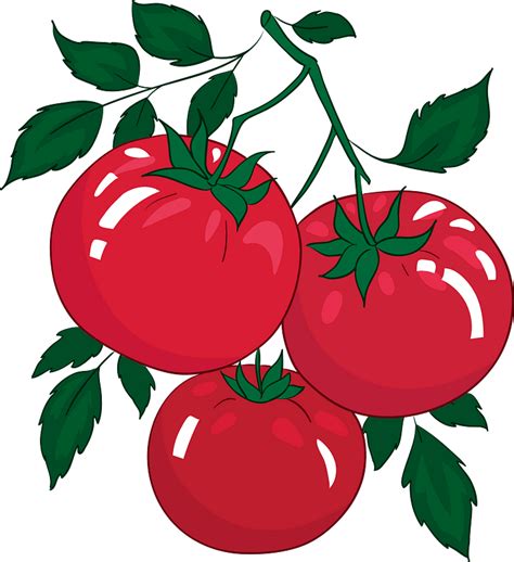 Tomato Clipart Free Download Transparent Png Creazilla