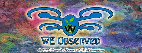 About We Observed We Observed