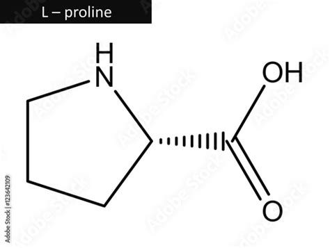 Molecular Structure Of L Proline Stock Illustration Adobe Stock