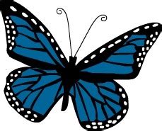 Download 1,600+ royalty free butterfly clipart vector images. Butterfly Clip Art - Indian Recipes - Blogexplore