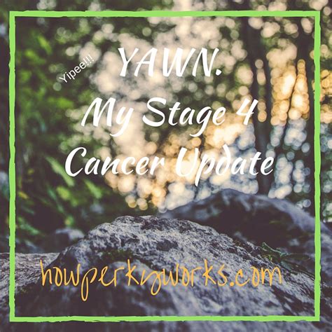 Yawn My Stage 4 Cancer Update How Perky Works