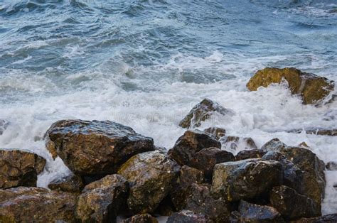 Seascape Seafoam Of Storm On Wild Rocky Seashore Stock Photo Image