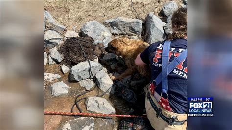 Duluth Firefighters Rescue Dog Stuck In Culvert Static Primary