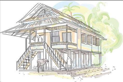 Contoh Kumpulan Sketsa Rumah Adat Kalimantan Barat Desain Interior My