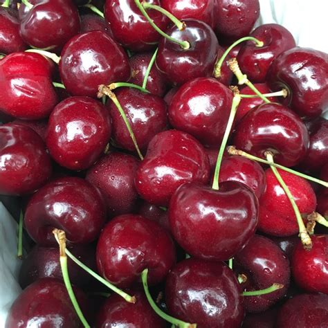 Red Pearl Red Cherry 2kg Premium Box — Momobud