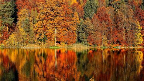Autumn Scene Across A Lake High Definition High Resolution Hd Wallpapers