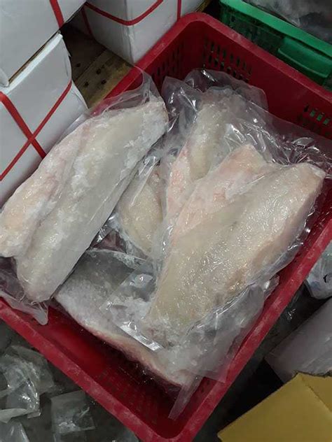 Seabass Fillet Pinetree Vietnam Co Ltd Seafood Exporter And Supplier