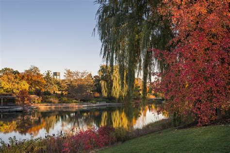 Fall Colors Are On Full Display At Chicago Botanic Garden Chicago