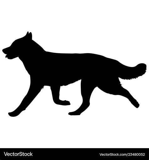 Husky Dog Is Running Silhouette Royalty Free Vector Image