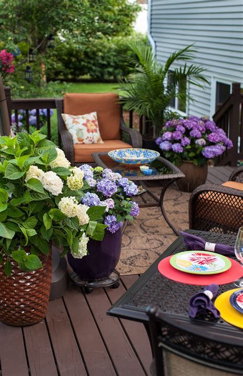 Pin By Chula On Patio And Flowers Deck Flower Pots Hydrangea Potted