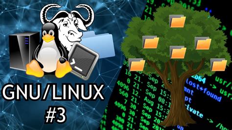 Estructura Del Arbol De Directorios De Linux 💻 Curso De Gnulinux De