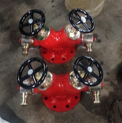 63 Mm Double Hydrant Landing Valve Size 100 Mm At Rs 9800 In Greater