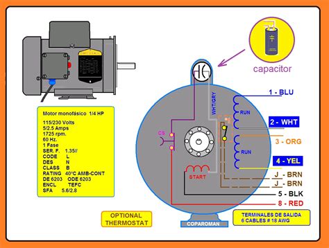 Diagrama De Un Motor Electrico