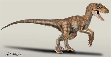 The Lost World Jurassic Park Velociraptor Female By Nikorex On