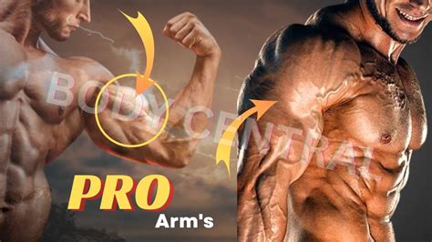 The Secret To 19 Inch Arms Biceps And Triceps Youtube