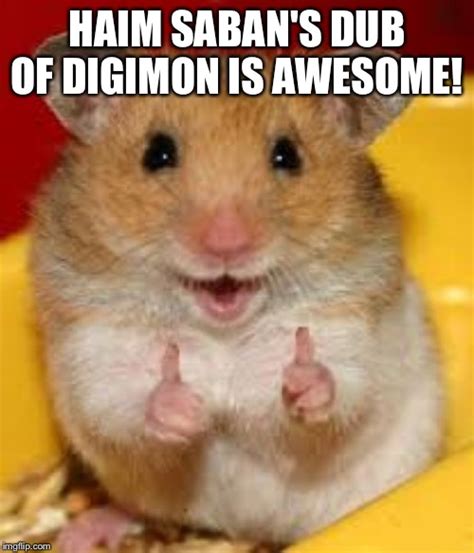 Thumbs Up Hamster Memes Imgflip