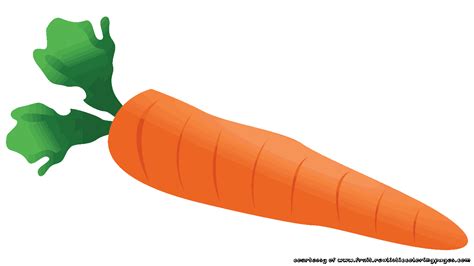 Carrot clipart single vegetable pencil and in color carrot ...