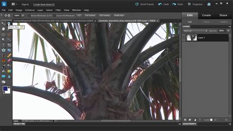 Stunning artistic tones & brushes for professional photographers. Learn how to remove Chromatic Aberration with Adobe ...