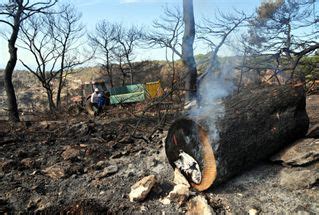 The mount carmel forest fire (hebrew: אסון הכרמל: פיצוי מופחת למי שלא ביטח - ערוץ 7