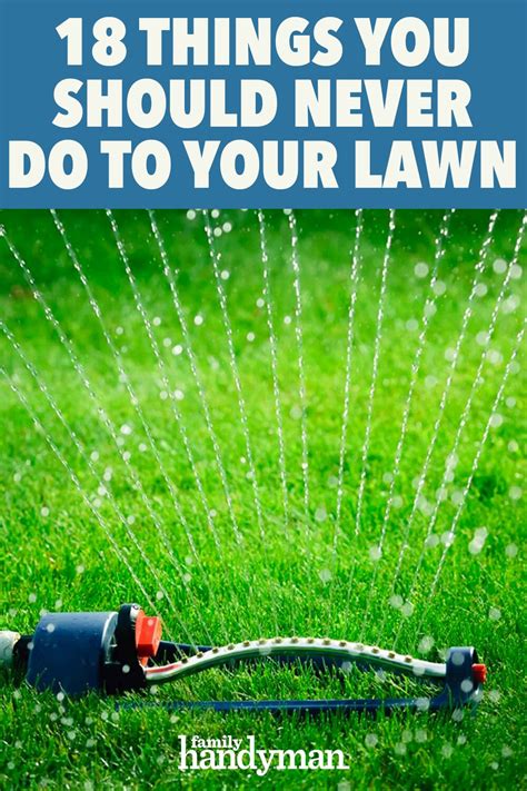 19 Things You Should Never Do To Your Lawn Lawn Landscaping Tips Yard