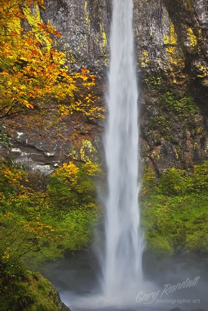 Elowah Autumn Elowah Falls In The Columbia River Gorge Gary