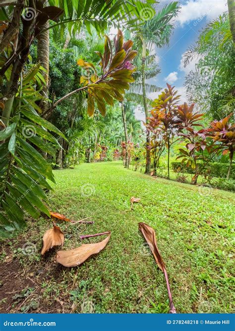 Maire Nui Gardens, Rarotonga Stock Photo - Image of gardens, relax