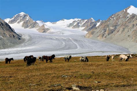 Altai Tavan Bogd National Park Best Climbing Tours To Altai Mountain