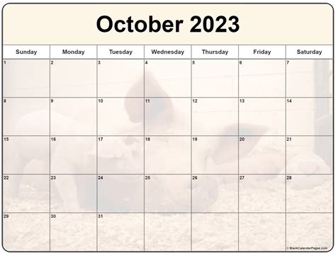 Moon Phases October 2023 2023 Calendar