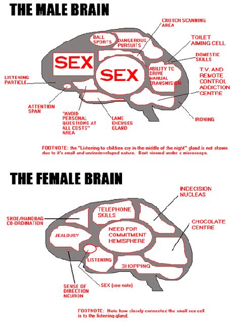 the female brain telegraph