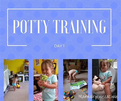 Official Potty Training Day 1 Mamas Organized Chaos