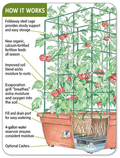 Tomato Planter All In One Tomato Success Kit Gardeners Supply