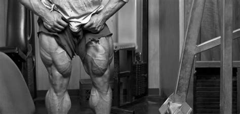 Musculos de la pierna dibujo. Anatomía de los Músculos de las Piernas » MT
