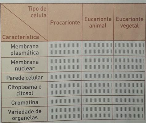 A Tabela Abaixo Compara Tr S Tipos B Sicos De C Lulas Copie No Caderno