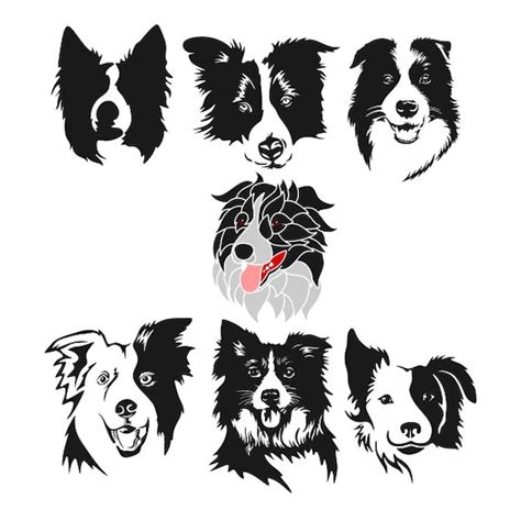 Border Collie Cuttable Design Svg Dxf Eps Use With