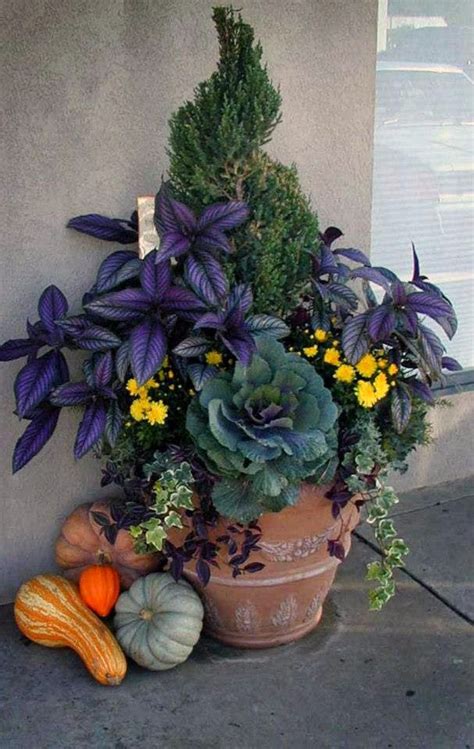 Mod Vintage Life Fall Container Gardening