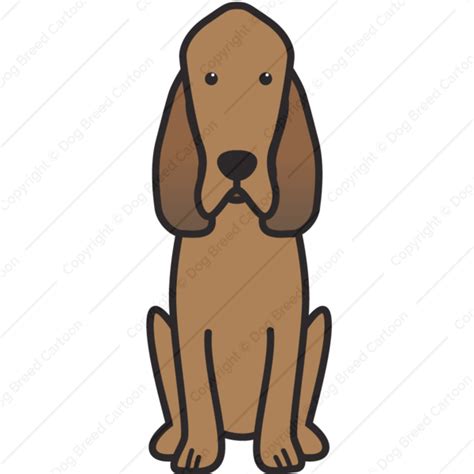 Bloodhound Cartoons Clip Art Library