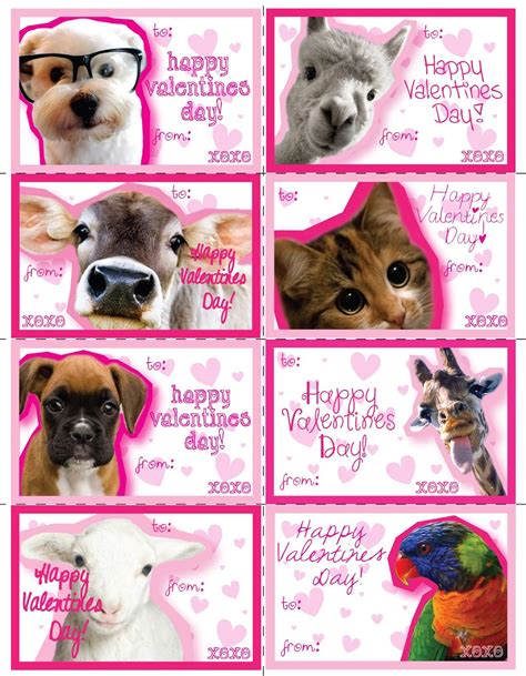 Cute Animal Valentines Day Card Printable Cici Bean