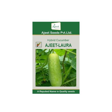 Ajeet Hybrid Cucumber Laura 10 Gm Leafconagro