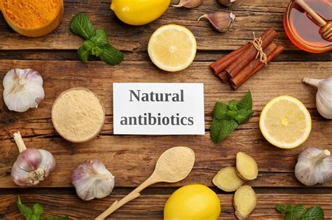 Natural Antibiotics 12 Effective Antibiotics To Kill Bacteria